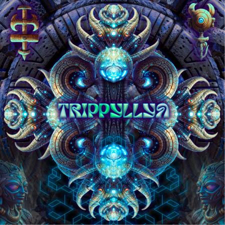 Psycamp-TRIPPYLLYA